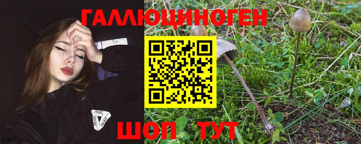 Галлюциногенные грибы Cubensis  Псилоцибиновые грибы мицелий  Ялуторовск  Вход с VPN 